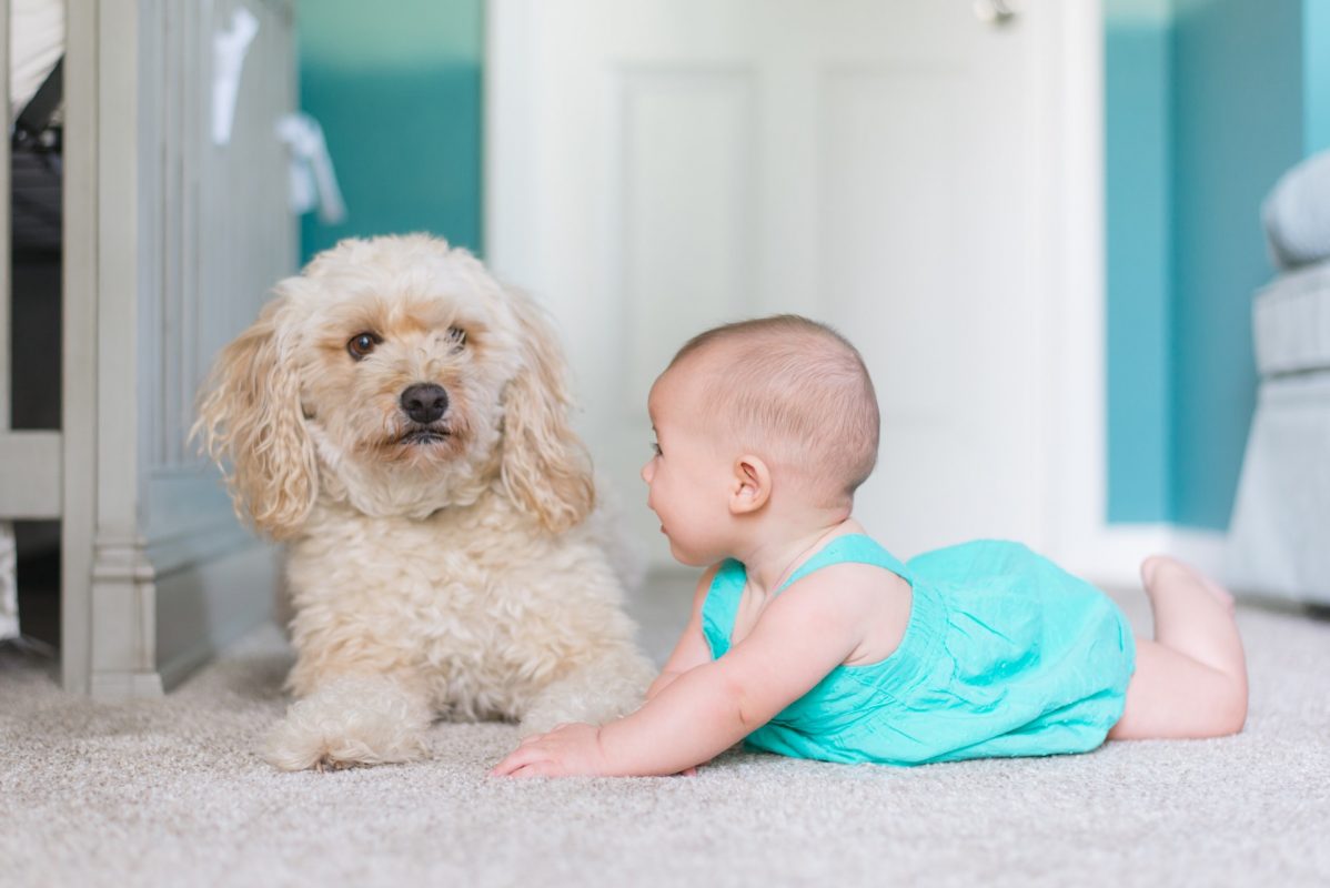 Top-quality Carpet Shop in Surrey