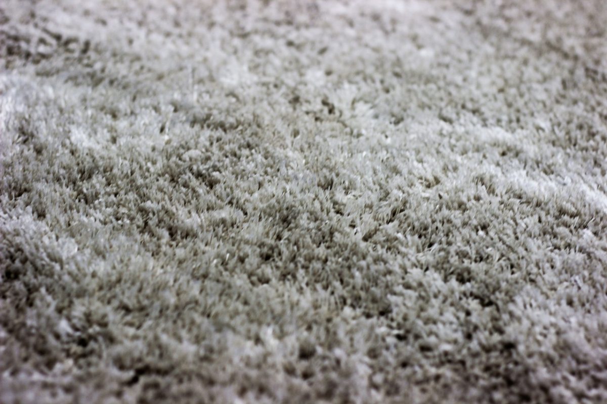The Best Hallway Carpets